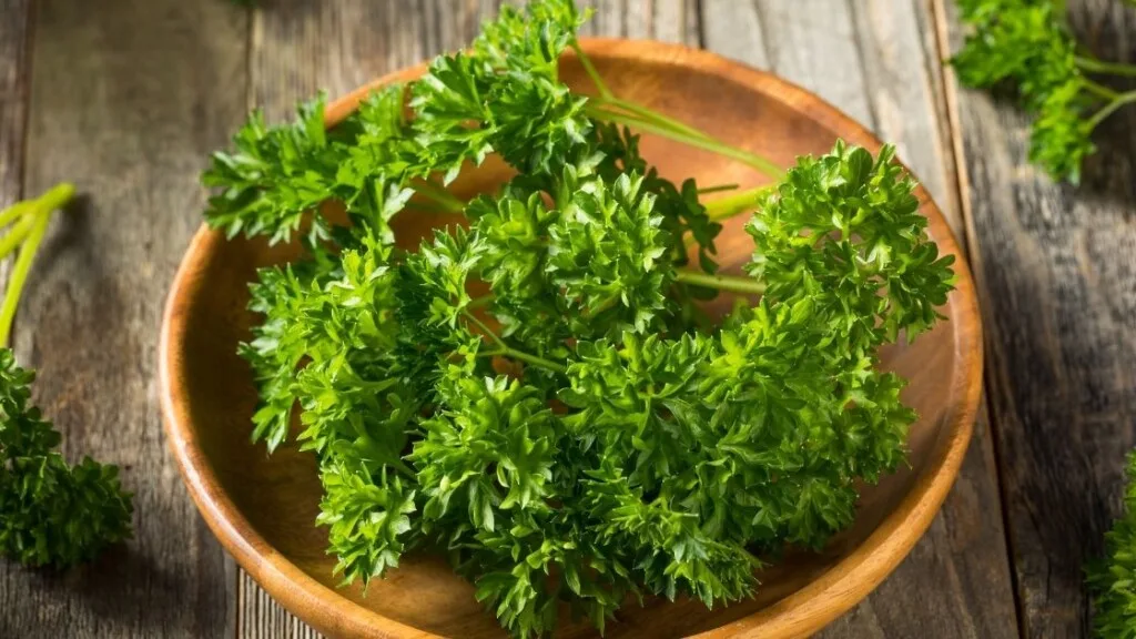 Do You Think About Which Type Of Parsley To Use?