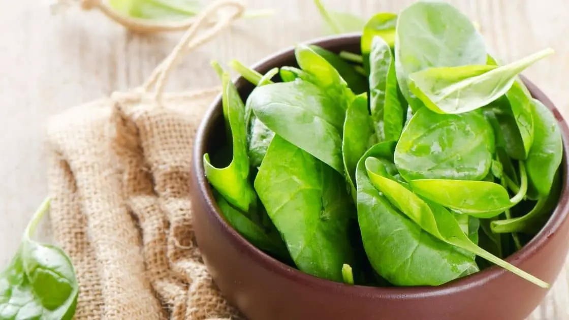 Relieving Constipation: Does Spinach Make You Poop?