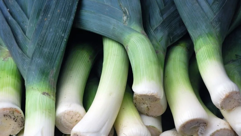 For How Long Can We Freeze Chives