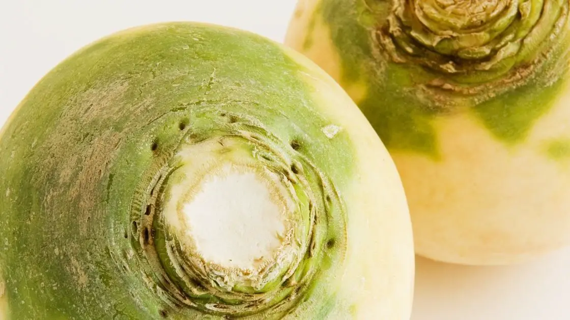 5 Types of Turnips That Are Healthy To Consume