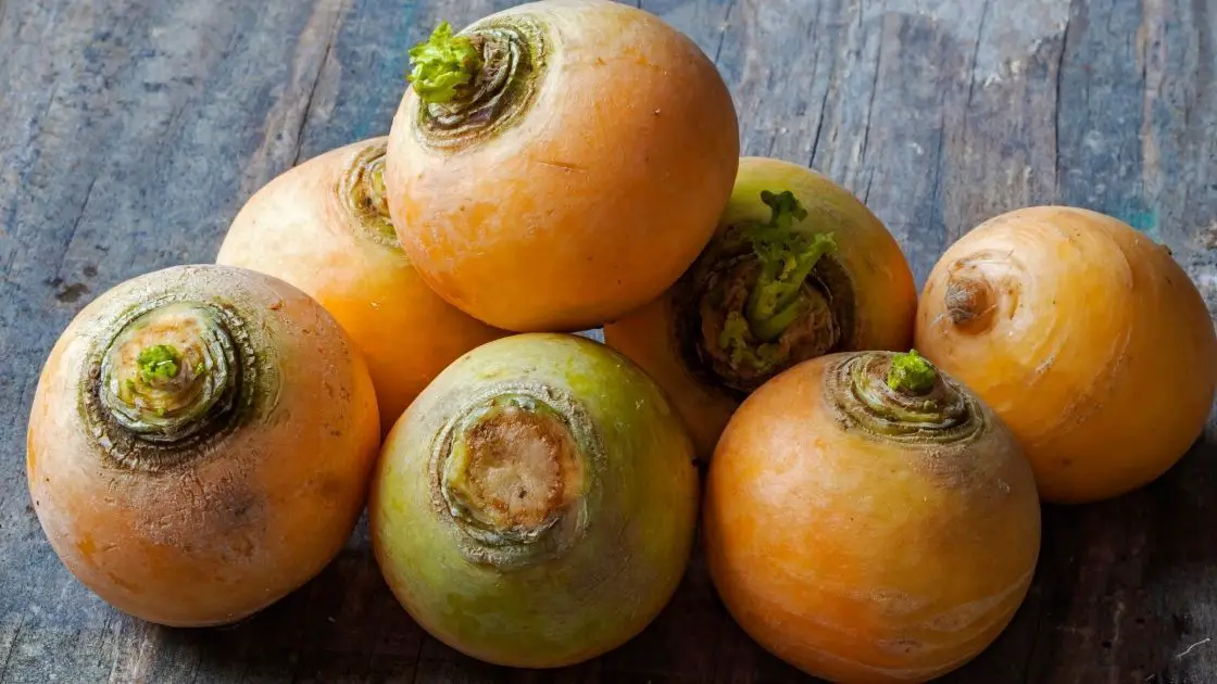5 Types of Turnips That Are Healthy To Consume