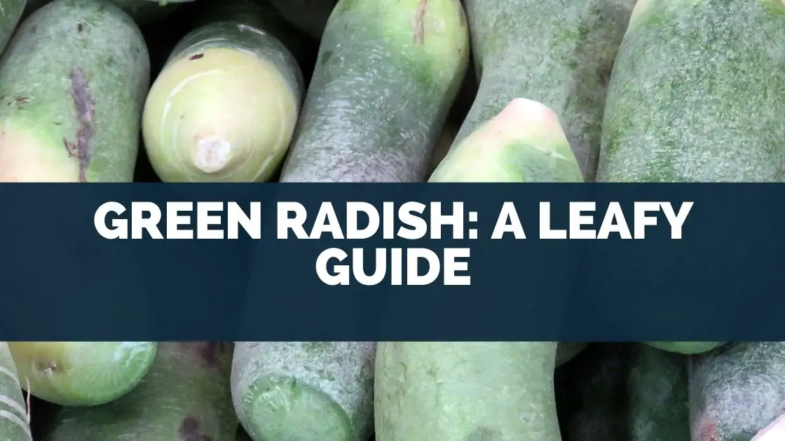 Green Radish: A Leafy Guide