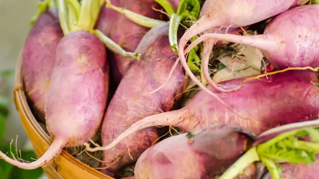 Health Benefits of Purple Radish