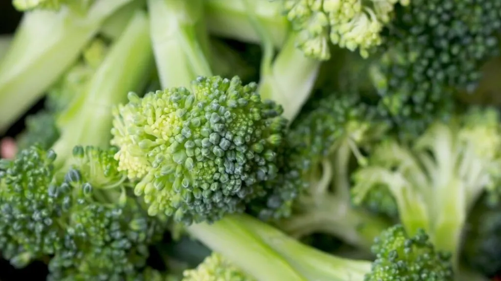 Health benefits of broccoli