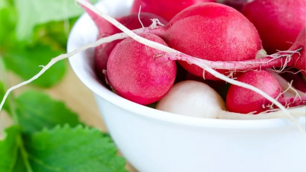 Health benefits of red radish
