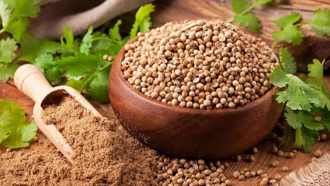 5 Incredible Health Benefits of Eating Coriander Seeds