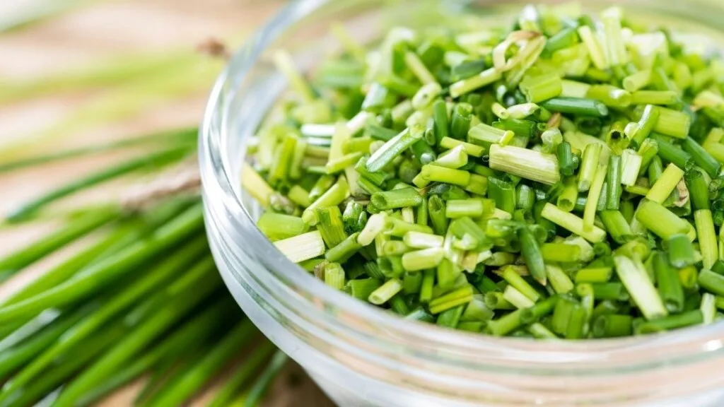 How Can We Freeze Chives in Ice Cubes