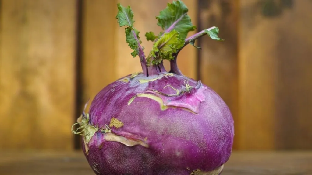 How Can We Store Kohlrabi