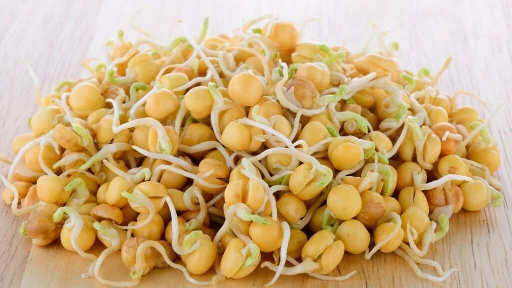 How Pea Sprouts Can Improve Your Heart And Overall Health?