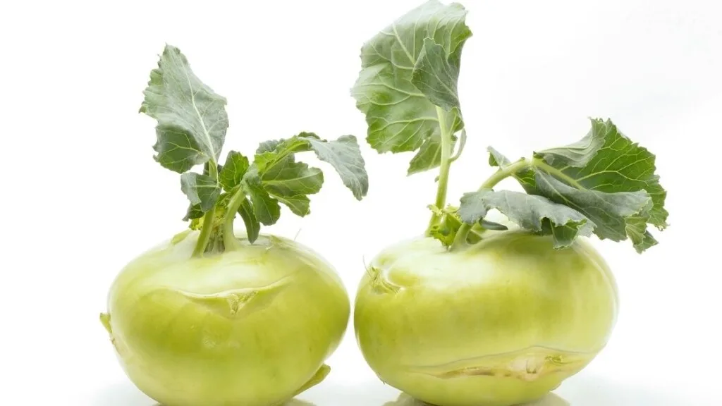 How To Buy A Good Kohlrabi