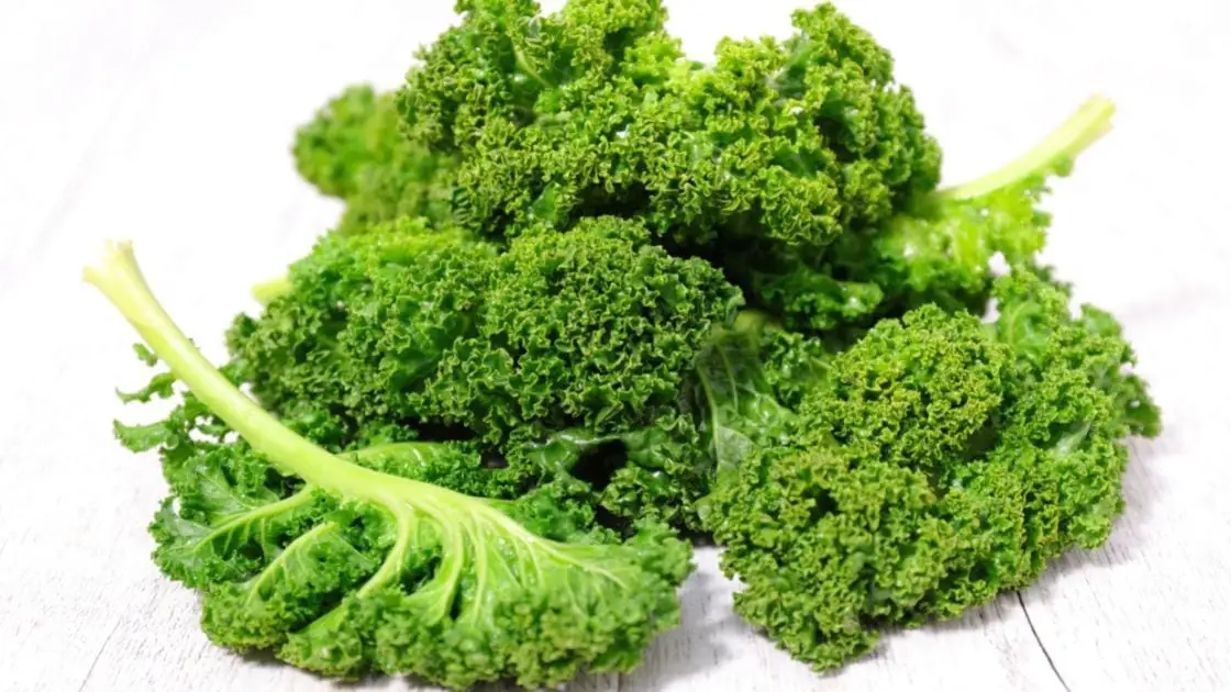 Leafy Basics What Does Kale Taste Like?