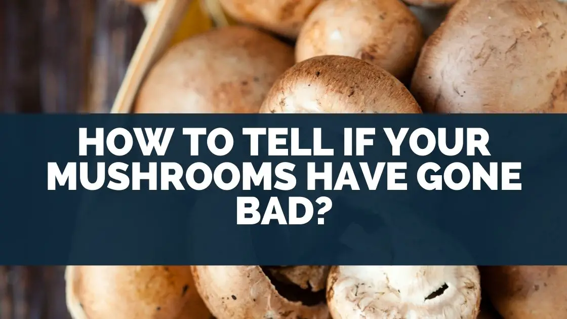 How To Tell If Your Mushrooms Have Gone Bad?