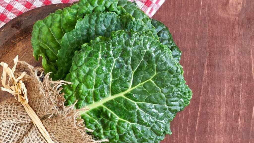 How to Prepare Cabbage Leaves as a Healthy Food