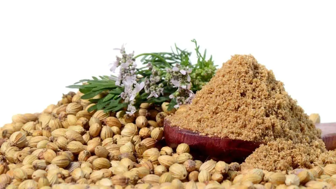 5 Incredible Health Benefits of Eating Coriander Seeds