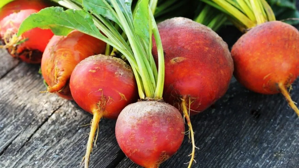 How to eat golden beet