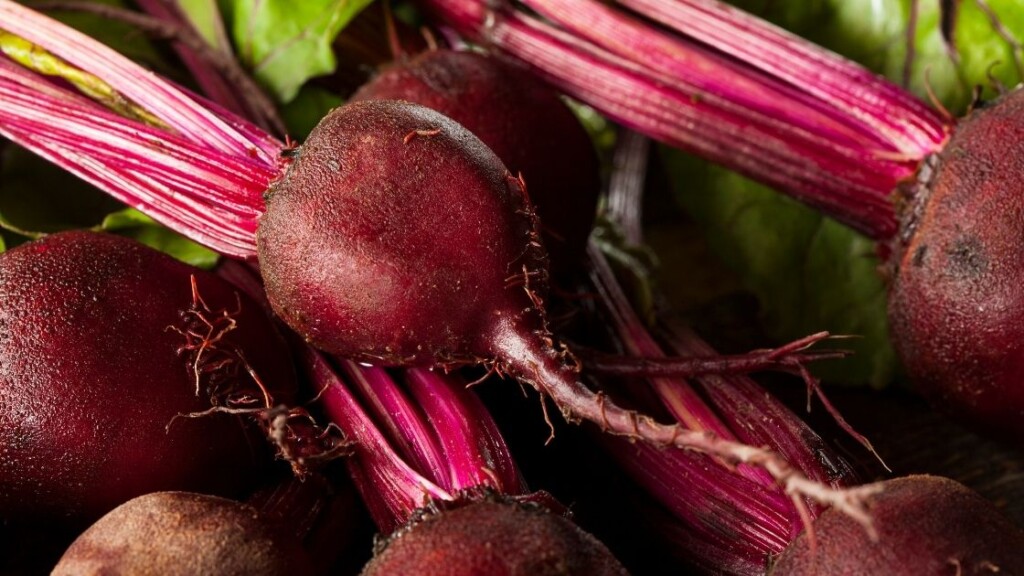 How to tell if red beets are bad