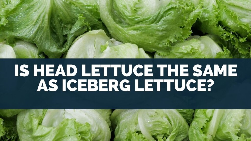 Is Head Lettuce The Same As Iceberg Lettuce