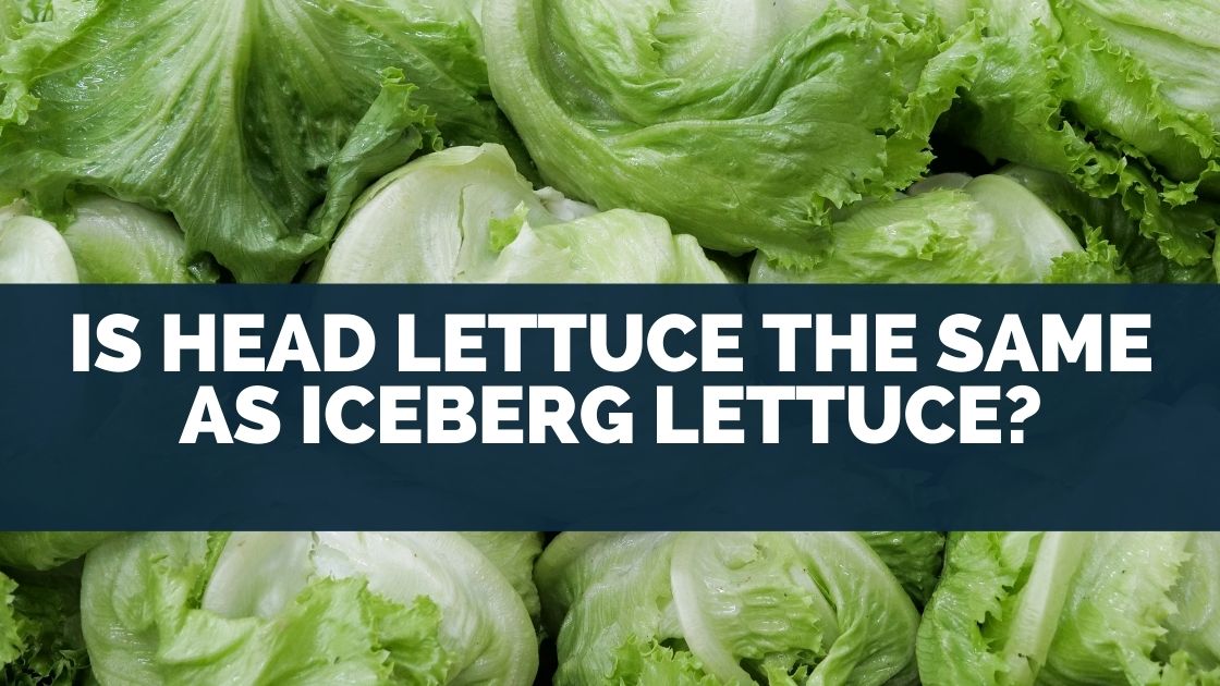 Is Head Lettuce The Same As Iceberg Lettuce?