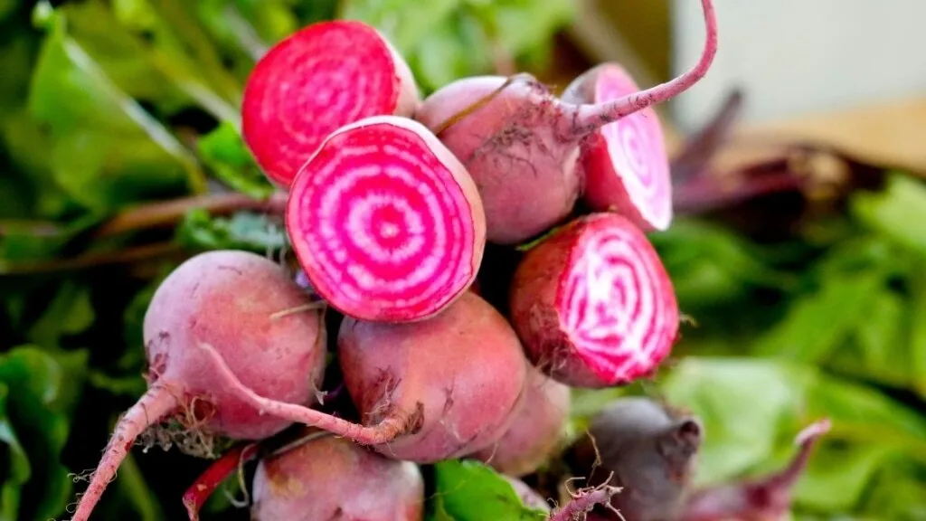 Is beet seed fattening