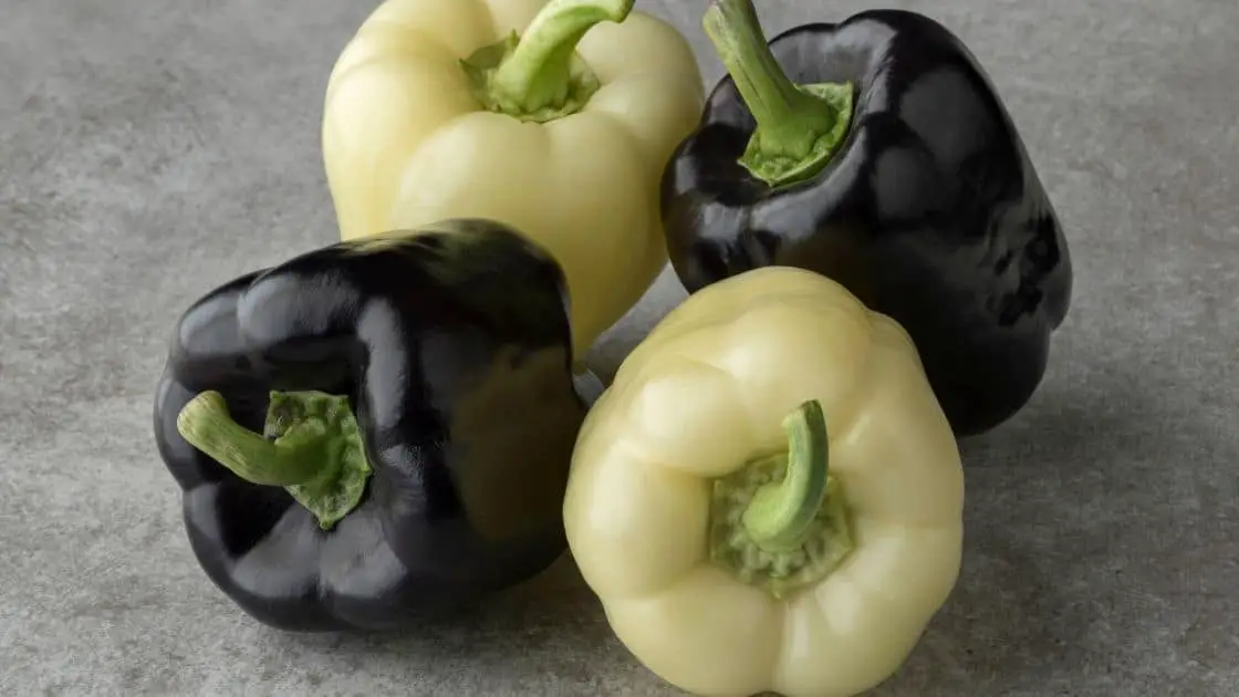 Discover 5 Incredible White Bell Pepper Benefits!