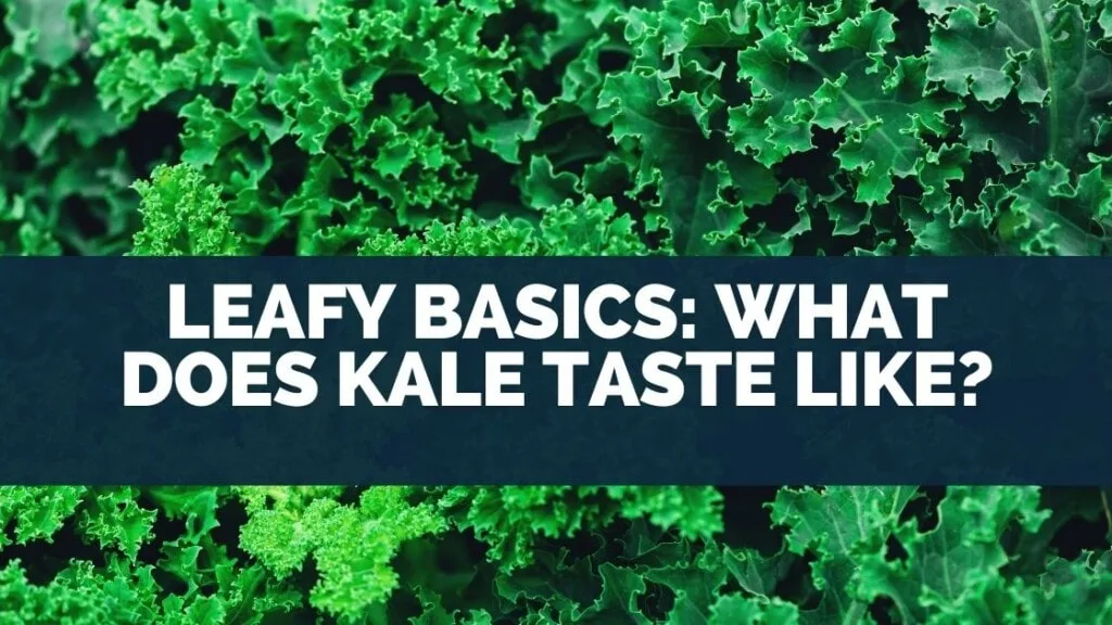 Leafy Basics: What Does Kale Taste Like