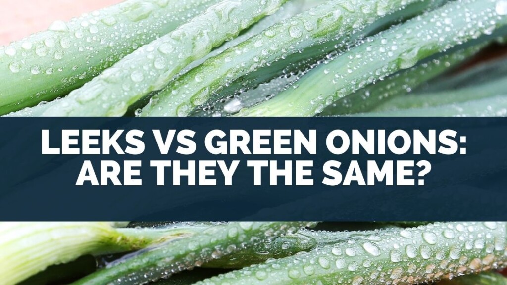 Leeks vs Green Onions: Are They The Same