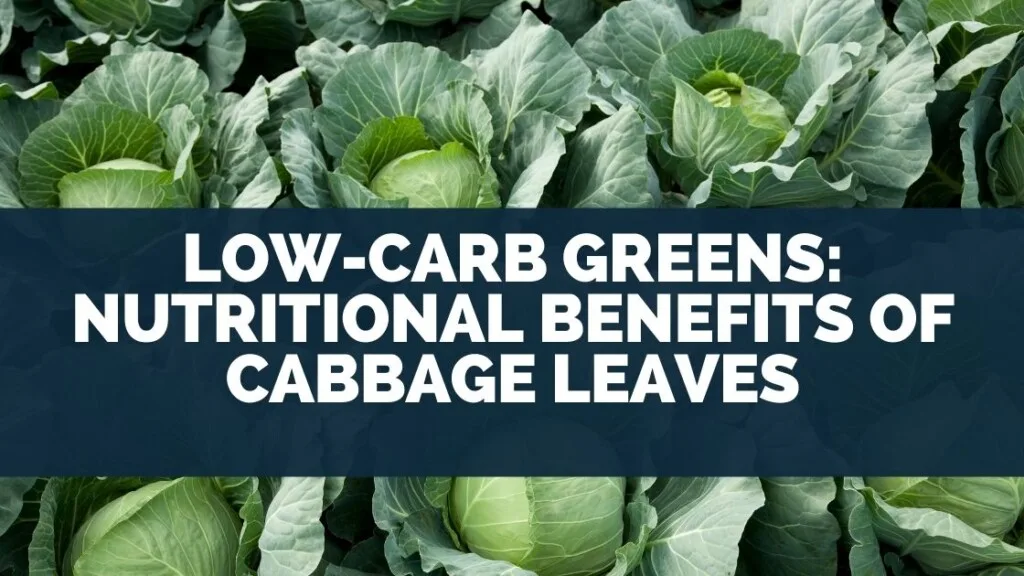 Low-Carb Greens: Nutritional Benefits of Cabbage Leaves