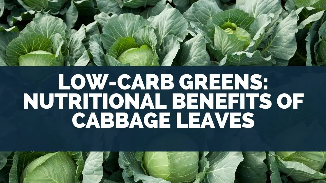 Low-Carb Greens: Nutritional Benefits of Cabbage Leaves