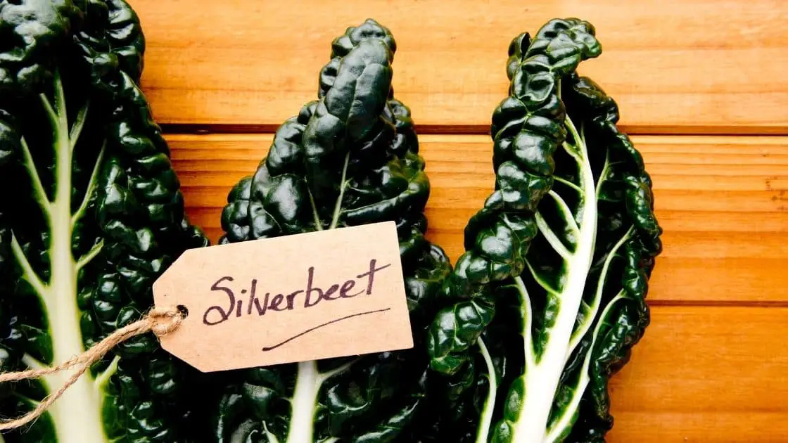 What Are The Nutritional Benefits of Eating Silverbeet? Know Your Greens!