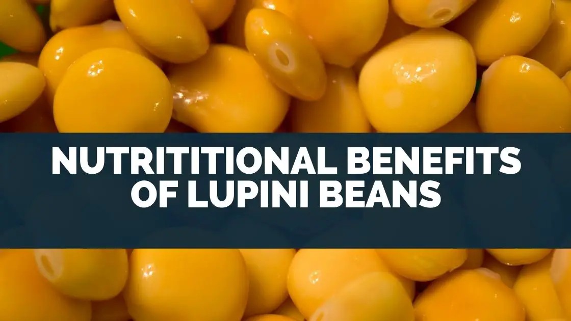 Nutrititional Benefits of Lupini Beans