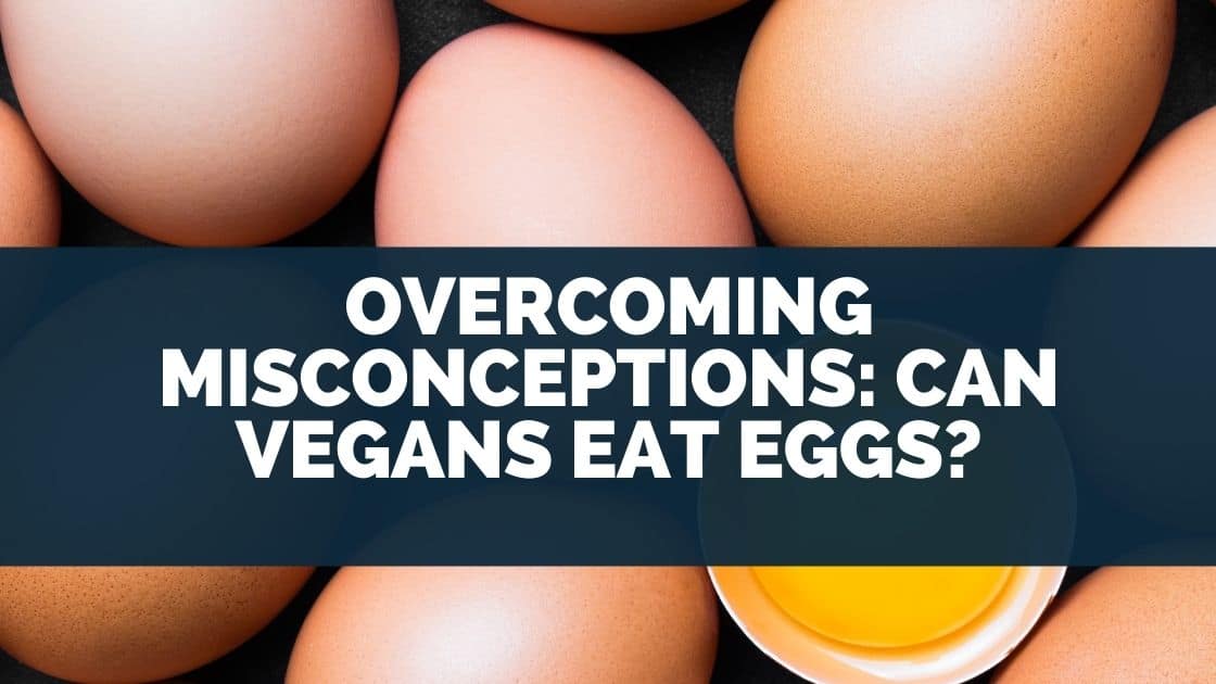Can Vegans Eat Eggs? (Overcoming Misconceptions)