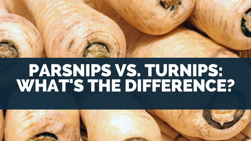 Parsnips vs. Turnips: What's The Difference