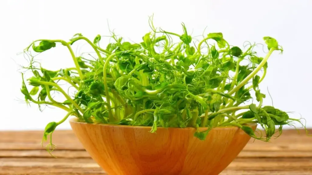 Pea Sprouts vs. Pea Shoots: What's The Difference