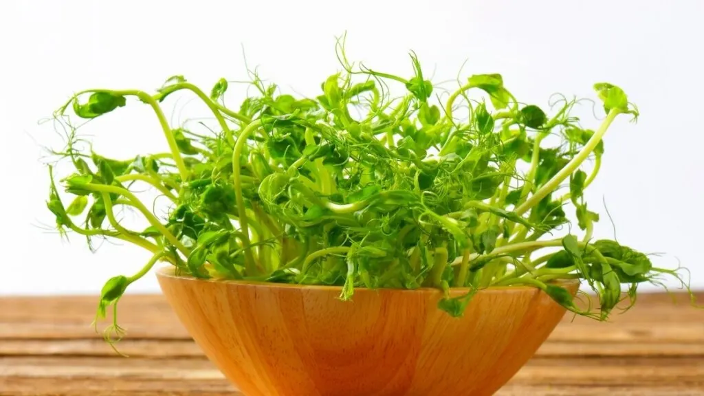 Pea Sprouts vs. Pea Shoots: What's The Difference