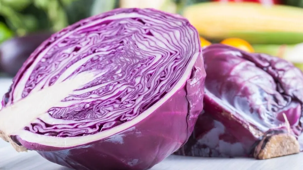 Purple Cabbage