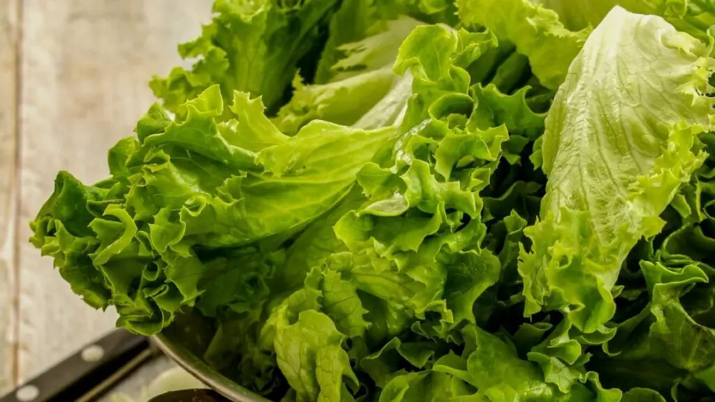 Recipes for Batavia lettuce 