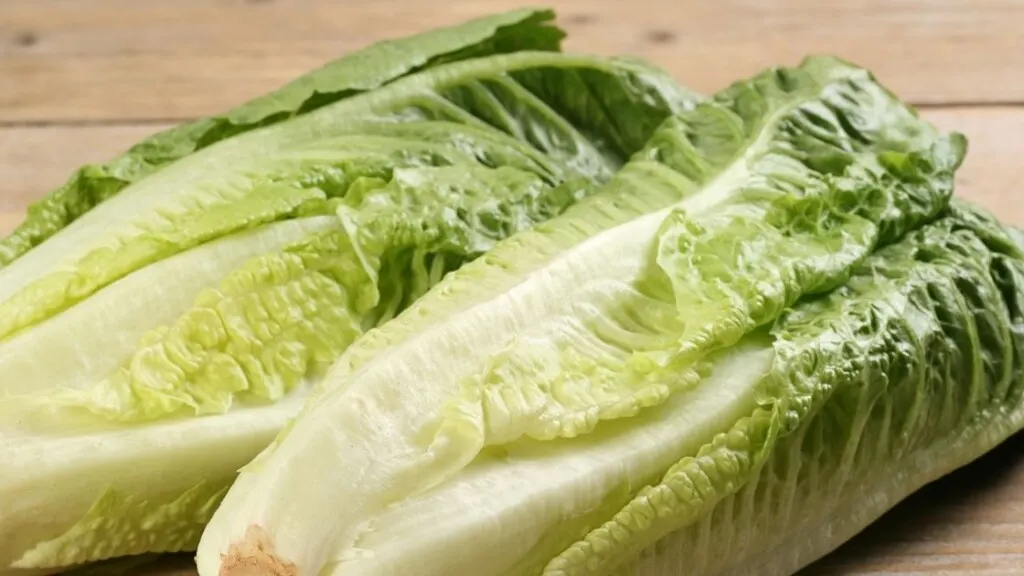 Romaine Hearts 