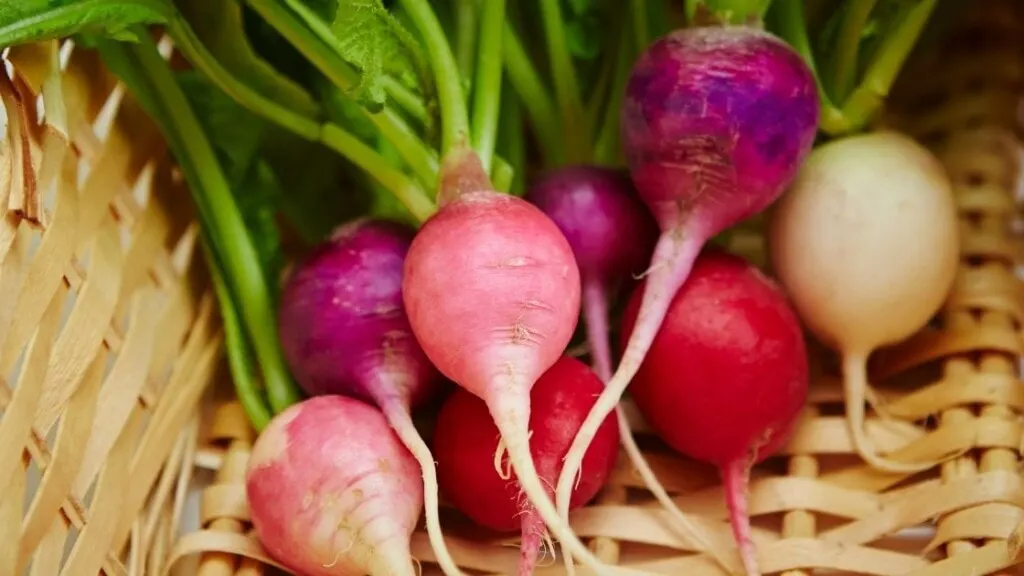 5 Types of Turnips That Are Healthy To Consume