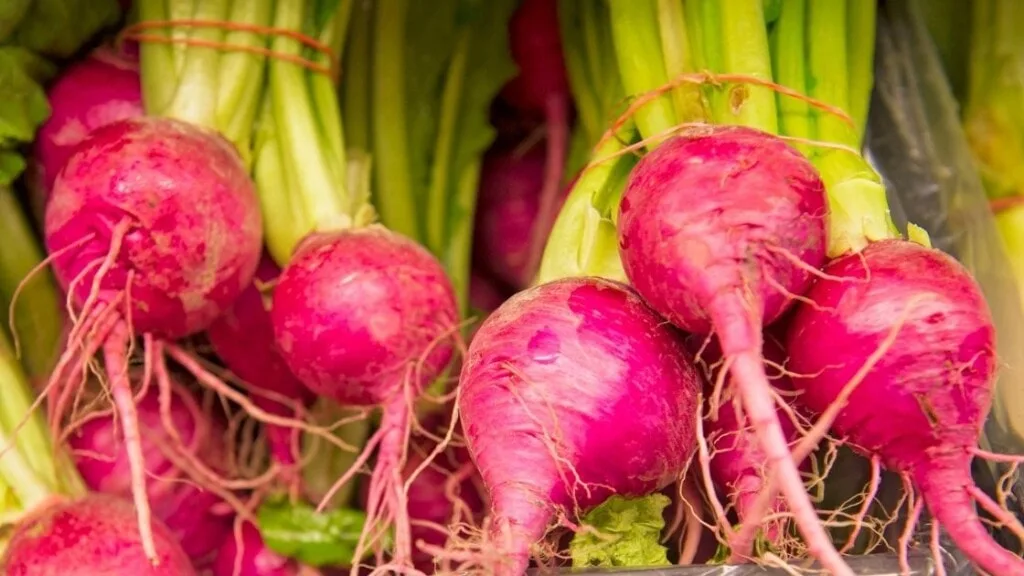 Scarlet Queen Turnips