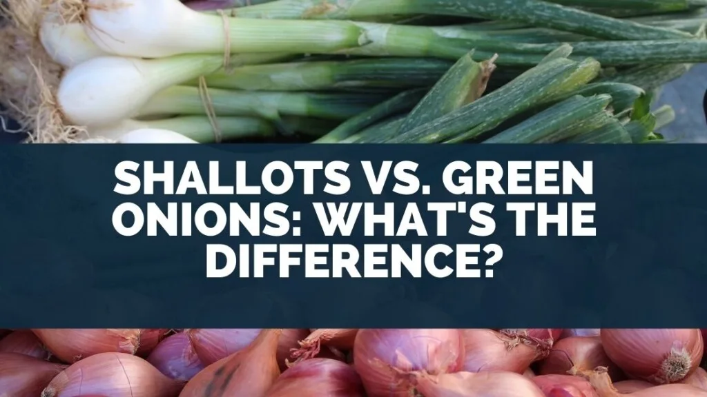 Shallots vs. Green Onions: What's The Difference?