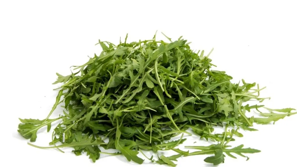 Signs that Your Arugula Has Gone Bad 