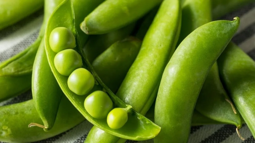 Snow Peas 