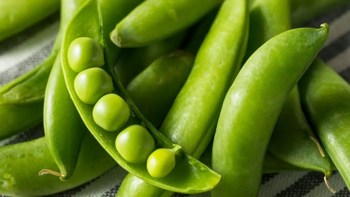 Snow Peas vs. Snap Peas Uncovering the Key Differences