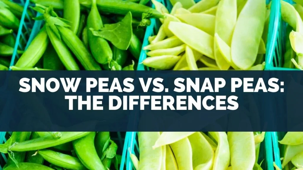Snow Peas vs. Snap Peas: The Differences