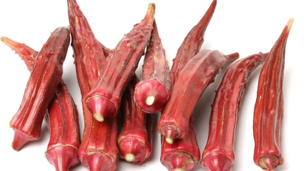 Storing Red Okra