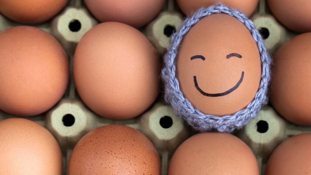 The Benefits of Eggs For Vegans