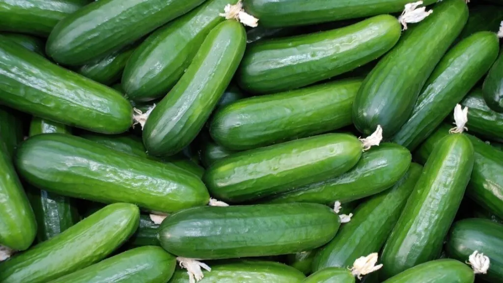 The Recommended Daily Allowance (RDA) Of Cucumbers
