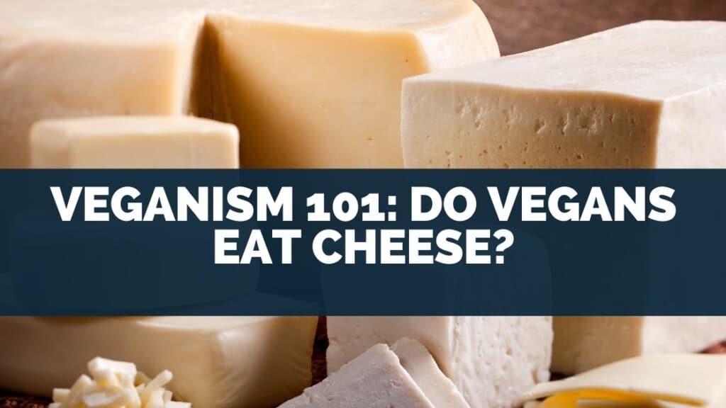 Veganism 101: Do Vegans Eat Cheese
