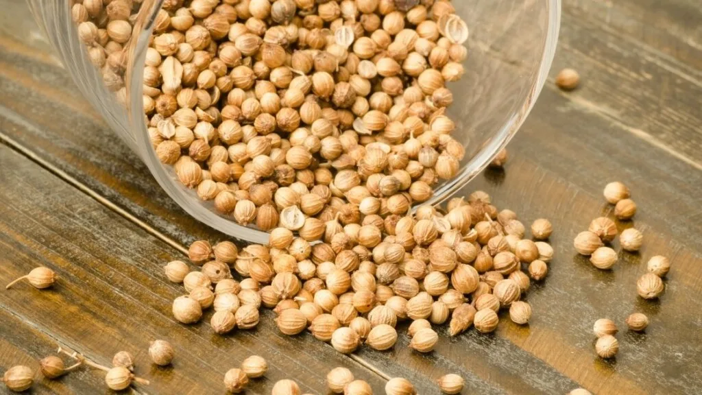 What Are Coriander Seeds