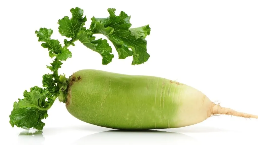 What Are Green Radish